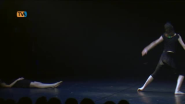 Projecto Quorum Ballet comemora Dia Mundial da Dança